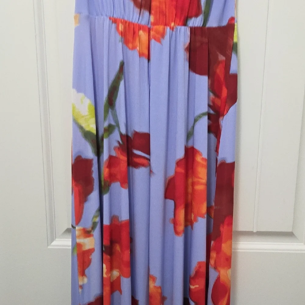 Calvin Klein Floral Print Midi Dress - Blue and Red - Picture 6 of 7